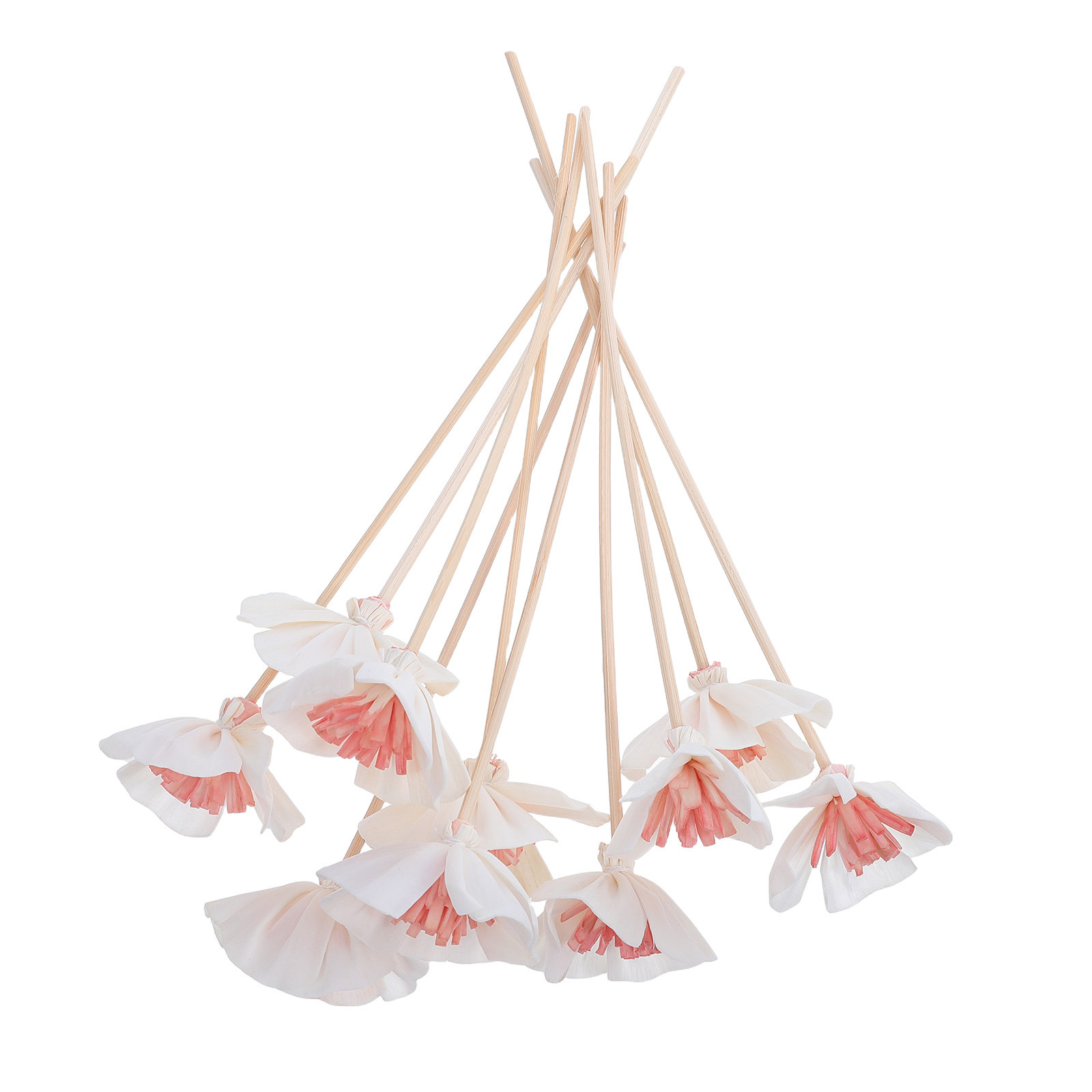 Home Fragrance Diffuser - 10 bâtonnets diffuseurs d'huiles essentielles noirs