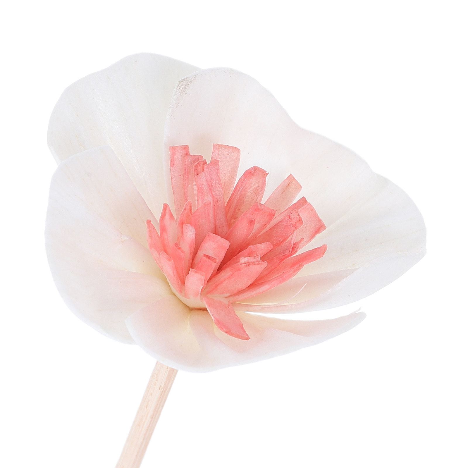 10 bâtonnets diffuseurs d'huil - Home Fragrance Diffuser avis et prix