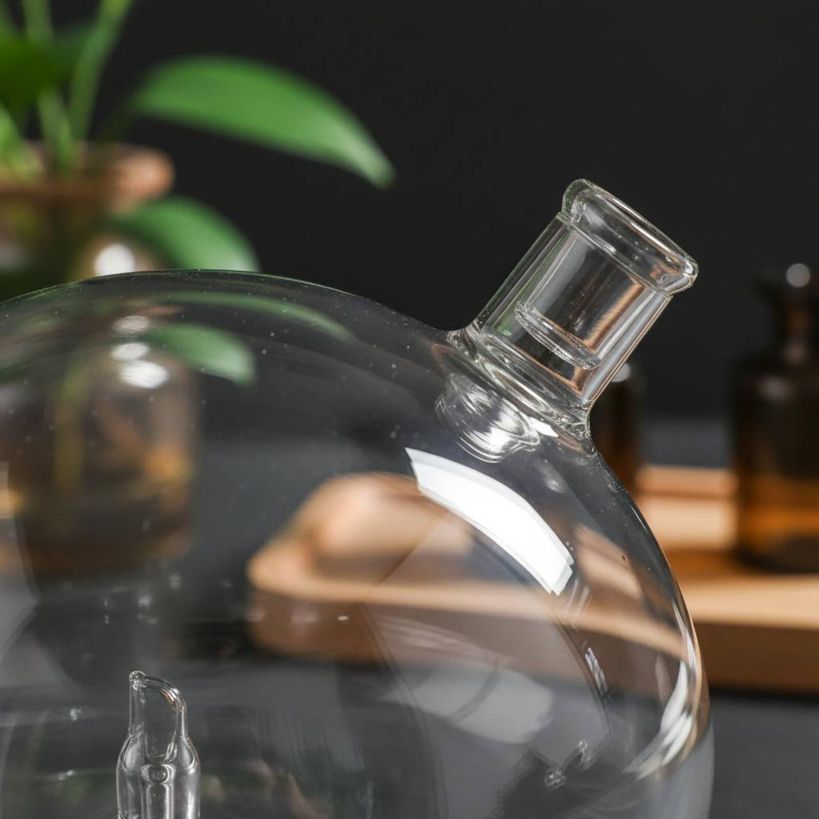 Bouteille diffuseur universell - Home Fragrance Diffuser avis et prix